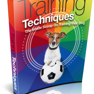 Training Techniques